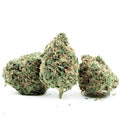 Blueberry Headband